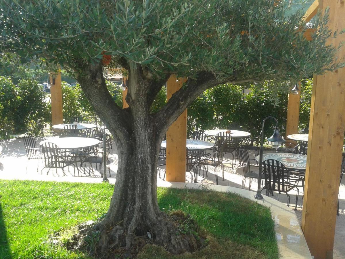 Hotel Villa Aurora Latina Kültér fotó